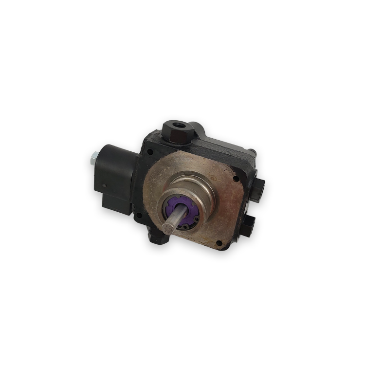 Lavor Diesel Fuel Pump Assembly